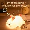S NMT Cute Rabbit Silicone Night Lights Cartoon Bedroom Lamp for Children's Room Decor, USB Rechargeable Timing Dimming Silicone Sleep Light for Kids, Toddler, Baby view 4