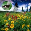 10-30x42High Power Zoom Monocular Telescope Suitable for Bird Watching Traveling Hiking Concert view 4