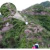Adults High with Smartphone Mount and Tripod, for Animal Watching Bird and Scenery view 3
