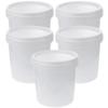5PCS White Food Grade Buckets,Bucket Pail Container with Lid Heavy Duty Plastic Bucket for Ranch Kitchen Party Fishing Painting - 1L view 1