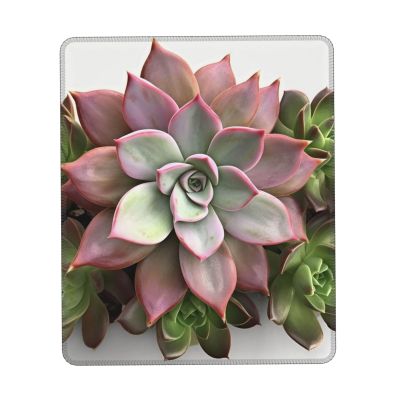 Succulent Botanical Print Mousepad Pad Non Slip Mousepad Mat Square Mousepad Gaming Mousepad Pad for Wireless Mousepad Office Computers 7 x 8.6 in