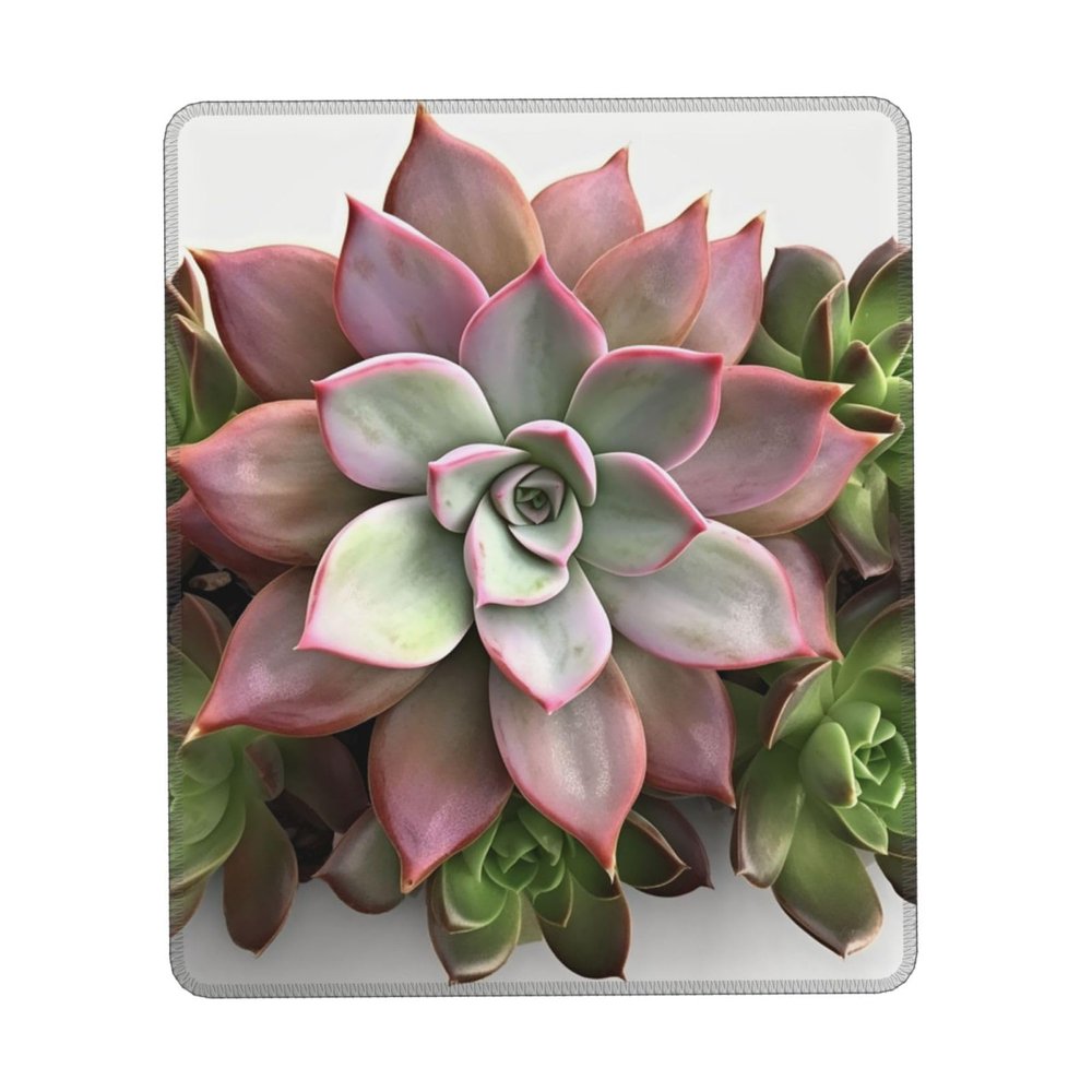 Succulent Botanical Print Mousepad Pad Non Slip Mousepad Mat Square Mousepad Gaming Mousepad Pad for Wireless Mousepad Office Computers 7 x 8.6 in