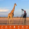 80/85 inches Heavy Duty Tripod for Camera and Phone, 85" Camera Monopod Tripods, DSLR Binoculars Spotting Scope Camcorders Video Tripod Stand, 360 Degree Ball Head, 35 lbs Loads view 4