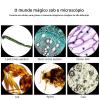 40x-10000x Binocular Compound Microscope - Microscope Slide Set/Storage Bag/Stand,for School Lab Home Education,White,6000X view 2