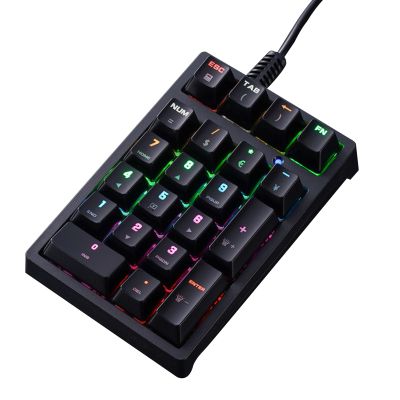 Wilitto Backlight Numeric Keypad for Laptop,21 Key Wired USB Mechanical Numpad, External Mini Numbers Keyboard for Laptop PC Computer Financial Tax Accounting Office Tool Black