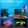 LetonPower B15 Dive Light Underwater Flashlight 8000Lumens Underwater Video Lights 80m Scuba Dive Light Diving Flashlight for Under Water Sports,Underwater Video Shooting and Photography view 3