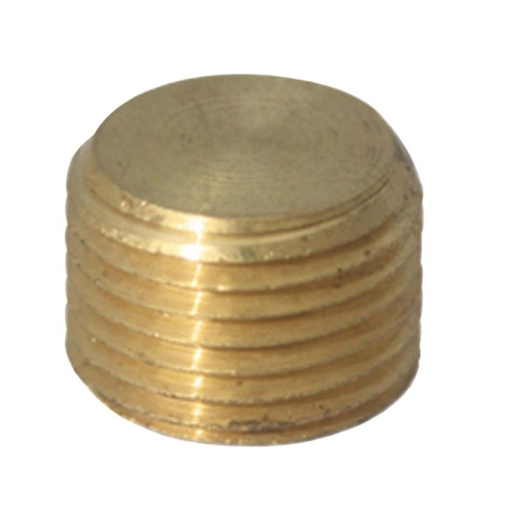 Homeplus+ 1/4 in. MPT Brass Counter Sunk Plug