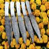 LOT OF 5 PIECES HAND FORGED DAMASCUS STEEL FULL TANG KNIFE BLANK BLADE KNIFE MAKING SUPPLIES (5 Damascus steel) view 3