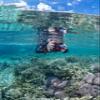 OM System Tough TG-7 Underwater Camera (Red) (Renewed) view 2