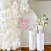 Baby in Bloom Baby Shower Party Decal Sign - Pregnancy Wall Decoration,Gender Reveal Girl or Boy Party Decorations,Anniversary Birthday Balloon Arch Backdrop view 4