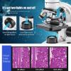 40x-10000x Binocular Compound Microscope, with Microscope Blade Set/Storage Bag/Stand, LED Lighting/Mechanical Platform, for School Lab Home Education, White,10000X view 2