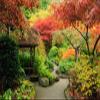 CORFOTO 15x10ft Fabric Japanese Garden Photography Backdrop Beautiful Autumn Garden Background Natural Scenery Decor Kids Adult Birthday Party Banner Wedding Anniversary Photoshoot Studio Props view 2