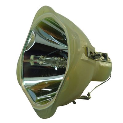 Advanced Lamps E19.9 330W/264W 1.3 AC Bare Projector Lamp Replaces 9281-288-05390-90 Day Warranty