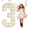 eufony 4FT Marquee Numbers, Large Light Up Numbers 3 for 3rd 13th 23th Birthday Party Decorations, Giant Light Up Number for Anniversary Decor, 4 Feet Mosaic Number 3 with LED Lights DIY Kit view 1