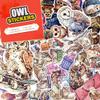 100 PCS Owl Stickers Pack Waterproof Vinyl Decals for Water Bottles, Laptops, Phones, Notebook, Cars Cool Vibrant Graphics for Owl Enthusiast view 1