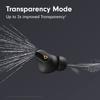Beats Studio Buds + True Wireless Noise Cancelling Earbuds - Black/Gold (Renewed Premium) view 3