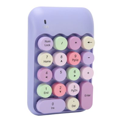 Retro Color 2.4GHz Numeric Keypad with USB Receiver for Laptop, Portable 18 Keys Wireless Number Pads Round Keycaps Auto Sleep Accounting Numpad Compatible with OS X (Theme)
