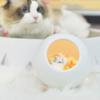 Cute Cat LED Night Light - Little Pet House Night Lamp for Bedroom Lighting - Decorative Cat Nightlight for Kids and Adults(White) view 4