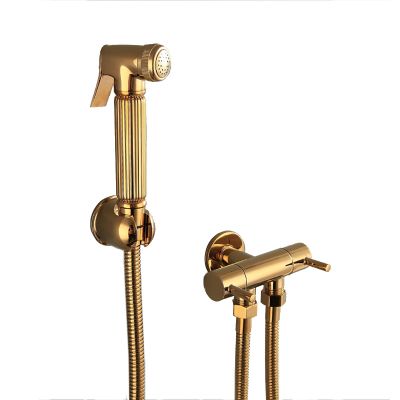FINLIX Handheld Bidet Sprayer for Toilet, Titanium Gold Wall Mounted Toilet Bidet Sprayer Kit Brass Single Cold Water Bathroom Cloth Diaper Sprayer Set for Personal Hygiene