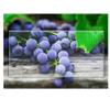 Oulesh Car Navigation Protective Film for Chery Tiggo 2 Pro 3X 2021, 1Pcs GPS Navigation Screen Tempered Glass Protective Film view 4