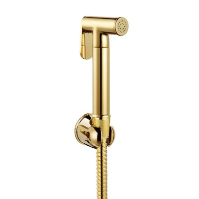 FINLIX Hand Shower for Toilet Set Handheld Bidet Sprayer Kit Cloth Diaper Sprayer Gold with Hose No Drilling Brass Toilet Spray Gun Set