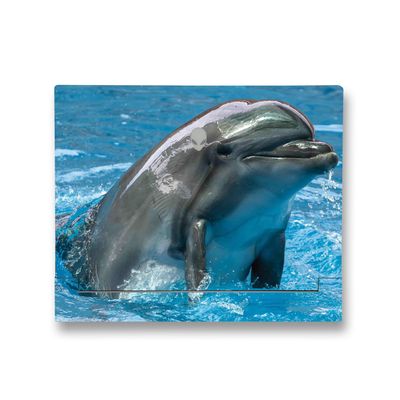 MightySkins Skin Compatible with Alienware X14 R2 (2023) Full Wrap Kit - Dolphin Greeting | Protective, Durable, and Unique Vinyl Decal wrap Cover | Easy to Apply & Change Styles | Made in The USA