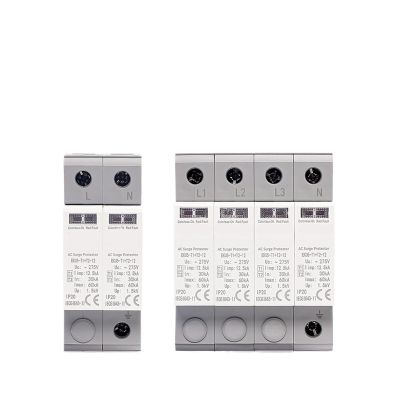 1PCS SPD AC Household Surge Protector 275V Protector Lightning Arrester Protection Type T1+T2 2P 4P 20KA~40KA 1P+N 3P+N EKU5 (Size : (T1 T2) 2P 275V)