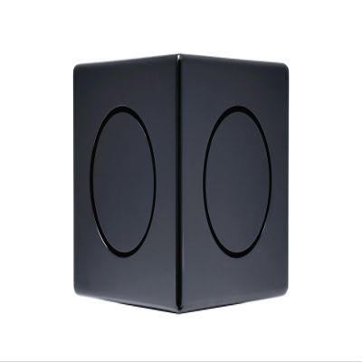 Earthquake Sound MiniMe DSP P63B 6.5-Inch Micro Powered Subwoofer with Dual 6.5-Inch SLAPS Passive Radiator Technology and DSP Control, Piano Black