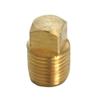 Homeplus+ 6jc120810701011 Mpt Square Head Cored Plug, Brass view 1
