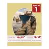 16x20 Mat Bevel Cut for 12x16 Photos - Precut Soft Yellow Oval Shaped Photo Mat Board Opening - Acid Free Matte to Protect Your Pictures - Bevel Cut for Family Photos, Pack of 1 Matboard Show Kit With view 1