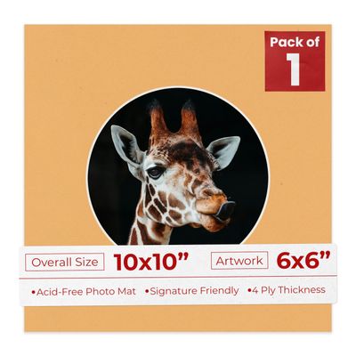 Poster Palooza 10x10 Photo Mat Board for 6x6 Photos Precut Circle Shape Opening Acid Free Bevel Cut Picture Frame Mat, Steel Blue, Mat Board for Framing Photos & Artwork, 1-Pack Matboard Show Kit