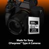 Lexar 320GB Professional CFexpress Type A SILVER Series Memory Card, Compatible with Sony Cameras w/ Type A Card Slot, Up to 800/700 MB/s Read/Write, 8K Video, VPG 200 (LCAEXSL320G-RNENG) view 4