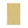 Blank Wall Plate Ivory Smooth Face view 1
