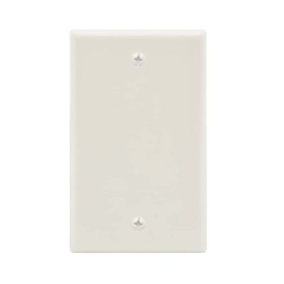 Blank Wall Plate White Smooth Face