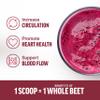Force Factor Total Beets Organic Beetroot Powder, Superfood to Boost Daily Nutrition, USDA Organic, Vegan, Gluten-Free, and Non-GMO Beet Supplement, Unflavored, 180 Servings, 2-Pack view 4