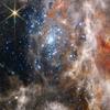 Dark-Skys HS-55 Tarantula Nebula Star disc for The Homestar Flux view 2