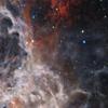 Dark-Skys HS-55 Tarantula Nebula Star disc for The Homestar Flux view 3