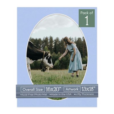 CountryArtHouse Baby Blue Acid Free 16x20 Oval Picture Frame Mat with White Core Bevel Cut for 13x18 Pictures - Fits 16x20 Frame - Pack of 1 Matboard Show Kit with Acid Free Backing & Clear Bag