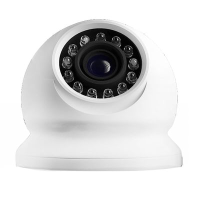 1080p Mini Ball Wide Angle Camera
