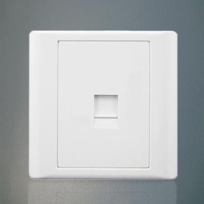 Type 86 Network Panel Single Port Panel Switch Information Outlet Computer,Network,Network Outlet Panel Broadband Network Cable Panel