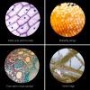 Biological Microscope Kit with Handbag Science Lab Experimental Biology Teaching view 4