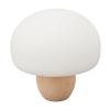 HUAOSN Mushroom Lamp, Rechargeable Mushroom Night Light Multi Color LED Mushroom Nightlight Dimmable Mushroom Nightlamp view 1