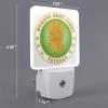 Qauirfe Womens Corps Veteran Night Light Set of 2 Home Decor view 2