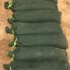 Empty Green Sandbags with Ties Bundle,Woven Polypropylene Sand Bags, Sandbags for Flooding, Sand Bags Flood Protection (Color : 4 piezas, Size : 20x120cm) view 2