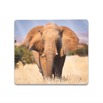 MightySkins Glossy Glitter Skin Compatible with Microsoft Surface Laptop Go 3 (2023) Full Wrap Kit - Elephant | Protective, Durable High-Gloss Glitter Finish | Made in The USA