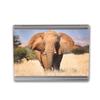 MightySkins Glossy Glitter Skin Compatible with Microsoft Surface Laptop Go 3 (2023) Full Wrap Kit - Elephant | Protective, Durable High-Gloss Glitter Finish | Made in The USA view 3