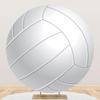 Renaiss 6x6ft White Volleyball Round Backdrop Cover Volleyball Club Circle Photography Background Outdoor Sports Themed Birthday Baby Shower Fans Event Athletes Party Decor Arch Photo Booth Props view 1