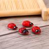 Xcello 100pcs/bag 3D Animal Wooden Ladybug Sponge Wall Sticker Craft for Kids & Children, Perfect Home Decoration, Refrigerator & Room Decor view 3