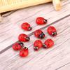 Xcello 100pcs/bag 3D Animal Wooden Ladybug Sponge Wall Sticker Craft for Kids & Children, Perfect Home Decoration, Refrigerator & Room Decor view 4