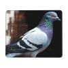 Pigeon Print Mousepad Pad Waterproof Gaming Mousepad Pads with Non-Slip Rubber Base Computer Mousepad Personalized Mousepad Mat for Desk Pad view 1